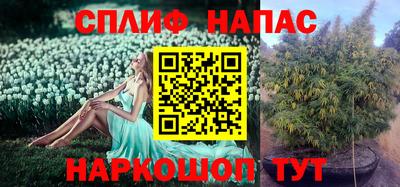 метадон Новодвинск
