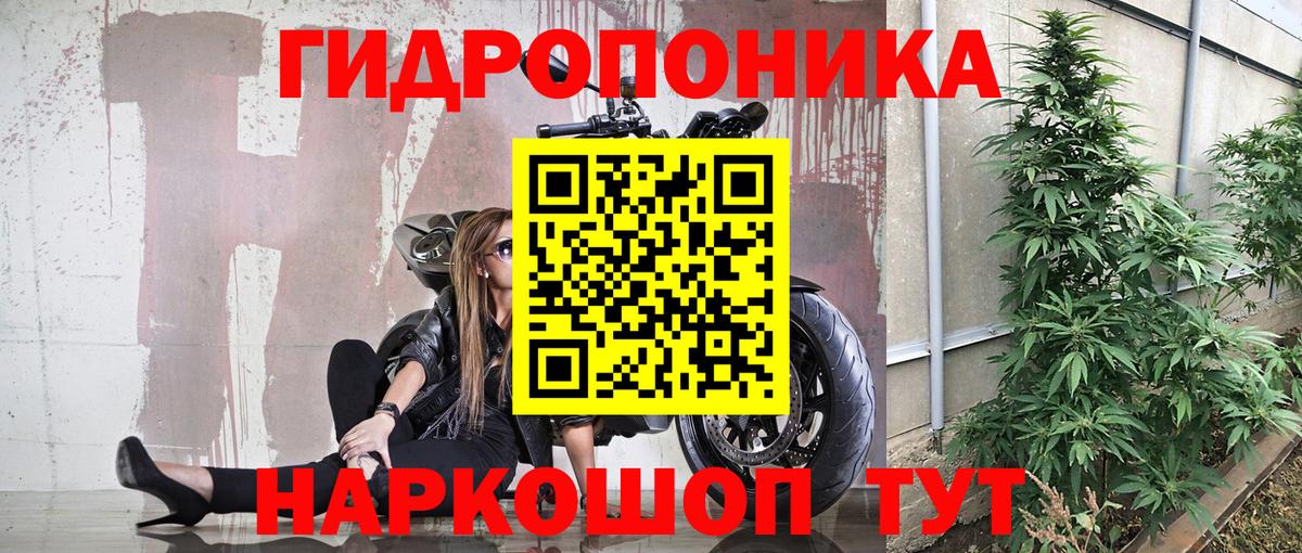 Конопля SATIVA & INDICA  Марихуана MAZAR  Вход с VPN  Черкесск  Бошки Шишки LSD WEED 